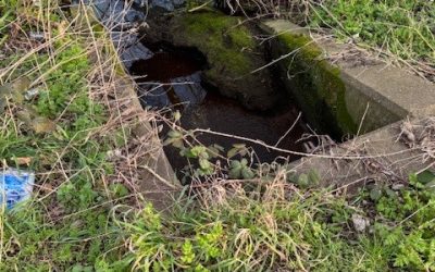 Outfall Safari – we need your help